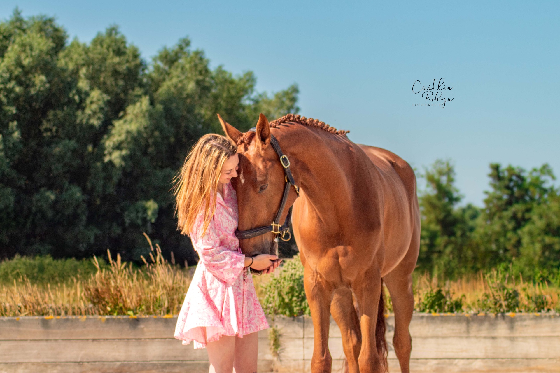 Vrouw met haar voorhoofd tegen dat van haar paard